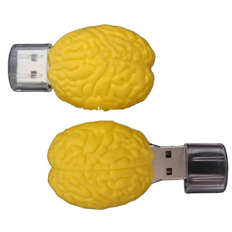 custom logo usb brain drive