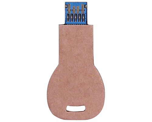 Biodegradable Round Head Key Flash Pendrive